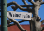 Willkommen an der Deutschen Weinstraße!