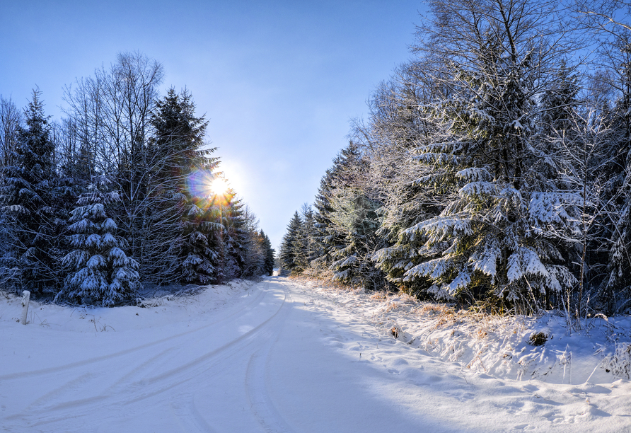 Winterlicher Westerwald