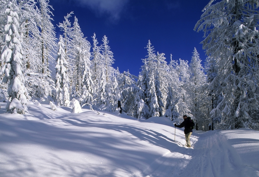 Winter im Nationalpark Bayerischer Wald
