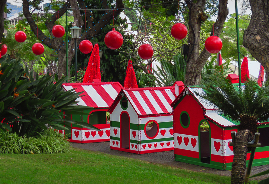 Bestaunen Sie die weihnachtlichen Dekorationen der Insel, etwa bei einem Besuch von Funchal.