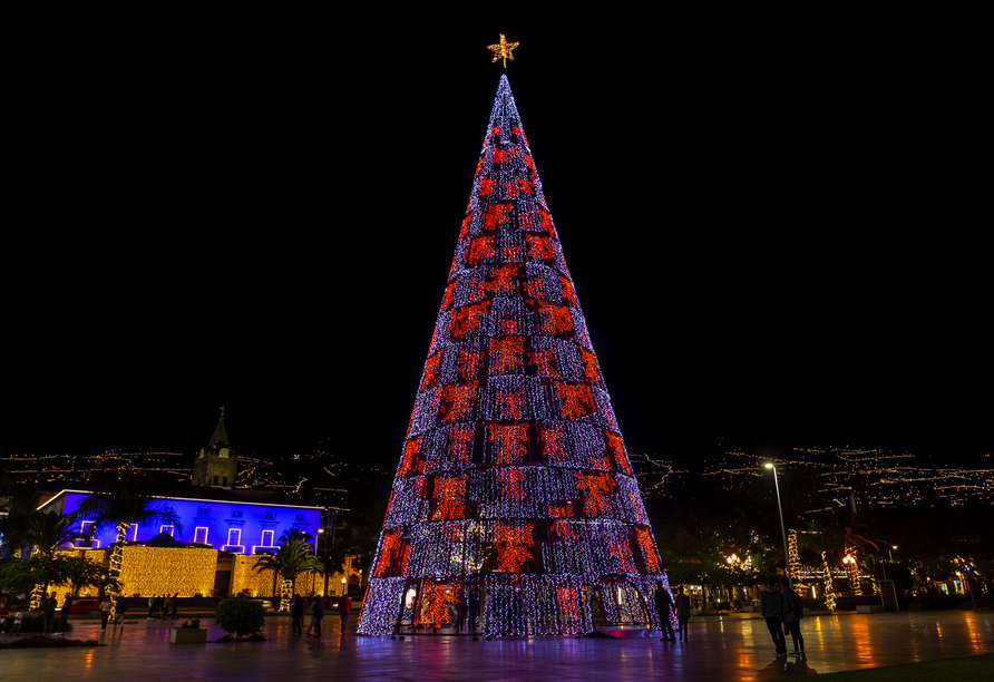 Prachtvoll geschmückte Weihnachtsbäume in Funchal versetzen Sie in Festtags-Stimmung.