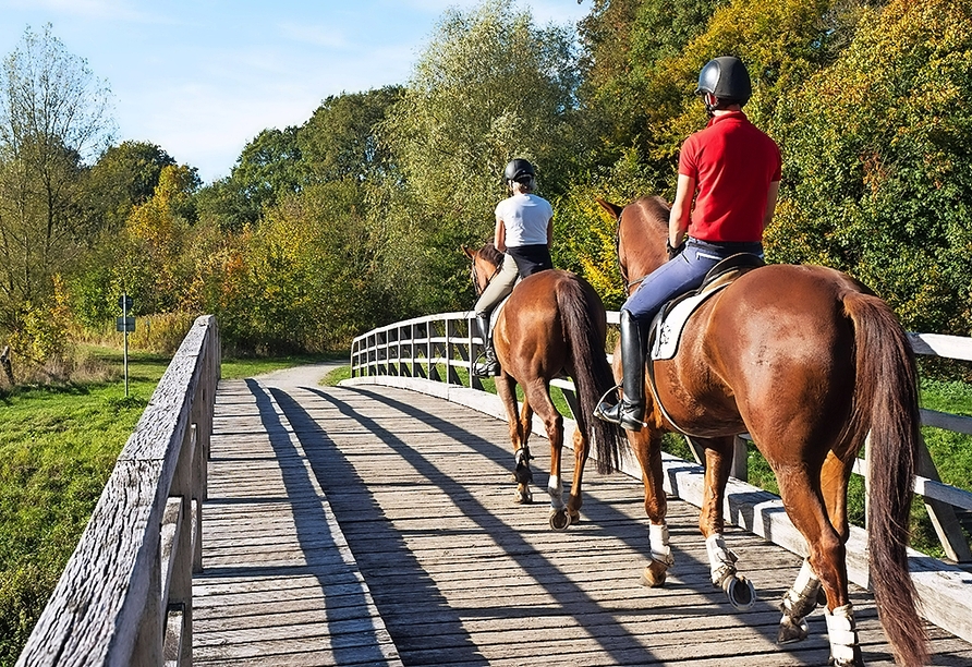 Man sagt das Glück dieser Welt liegt auf dem Rücken der Pferde – erleben Sie einen einmaligen Ausritt in die münsterländische Natur.