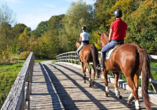 Man sagt das Glück dieser Welt liegt auf dem Rücken der Pferde – erleben Sie einen einmaligen Ausritt in die münsterländische Natur.