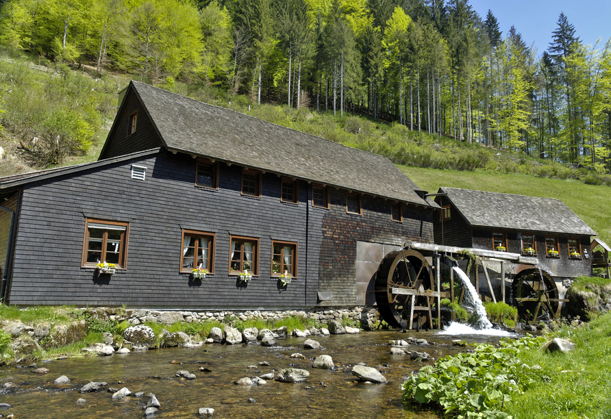 Die Hexenlochmühle ist die einizige Mühle im Schwarzwald, die mit zwei Wasserrädern betrieben wird.