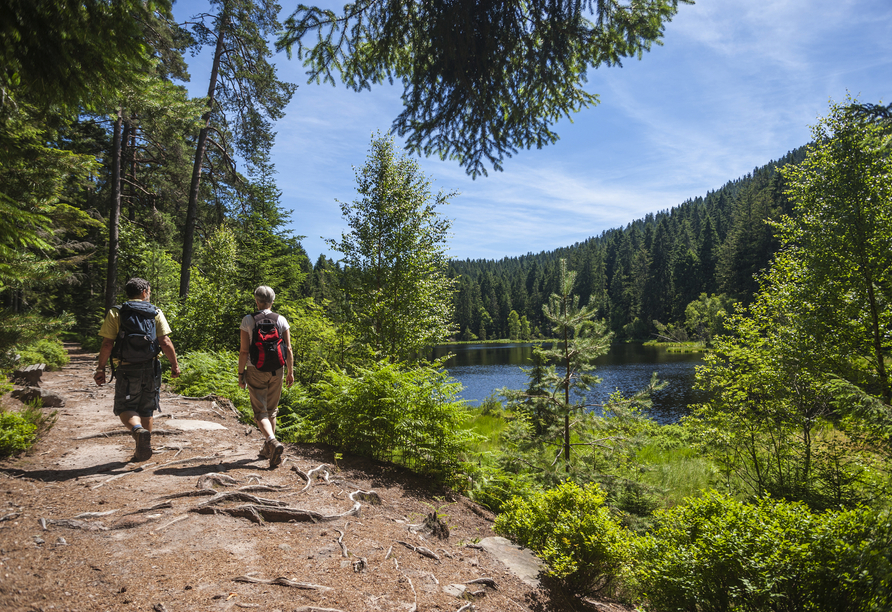 Erwandern Sie die traumhafte Natur.