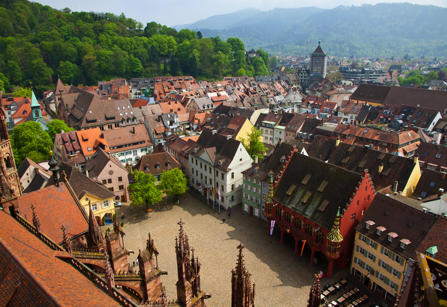 Wenn Sie möchten, können Sie einen Ausflug nach Freiburg unternehmen.
