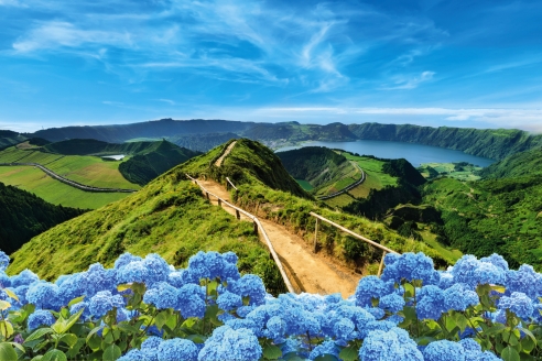 Das Blau der Hortensien und Rhododendren passt hervorragend zu dem satten Grün der Landschaft.