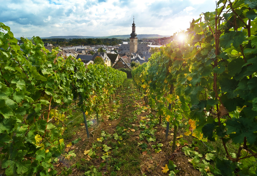 Rüdesheim ist das Tor zur Weinregion Rheingau.
