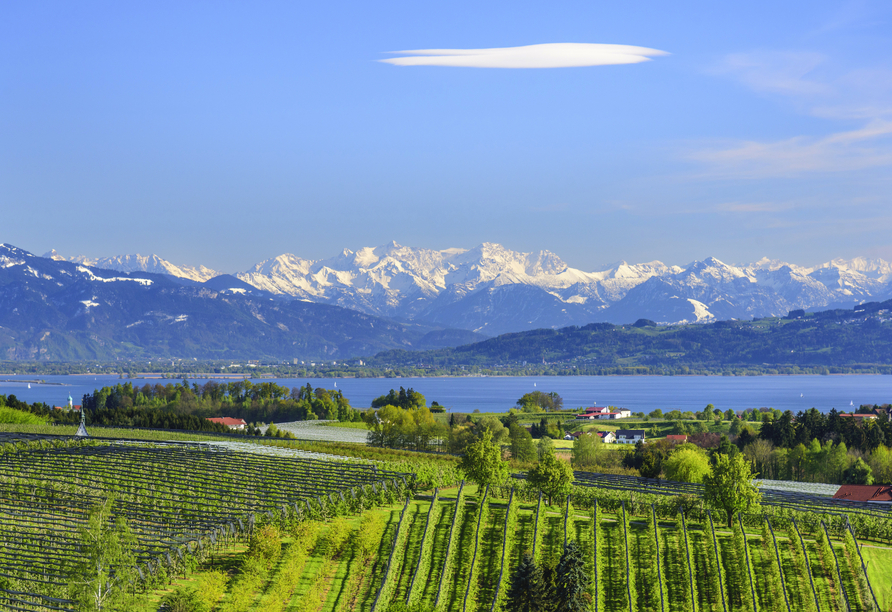 Obstbau-Landschaft am Bodensee mit Blick auf den See und die verschneite Alpenkette