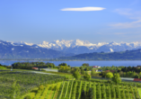 Obstbau-Landschaft am Bodensee mit Blick auf den See und die verschneite Alpenkette