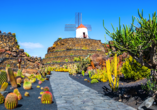 Der Jardin de Cactus, zu Deutsch: Kakteengarten, empfängt Sie im Nordosten der Insel mit einer architektonischen Gestaltungskunst, die Sie begeistern wird.