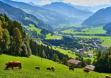 Das Zillertal in Tirol 