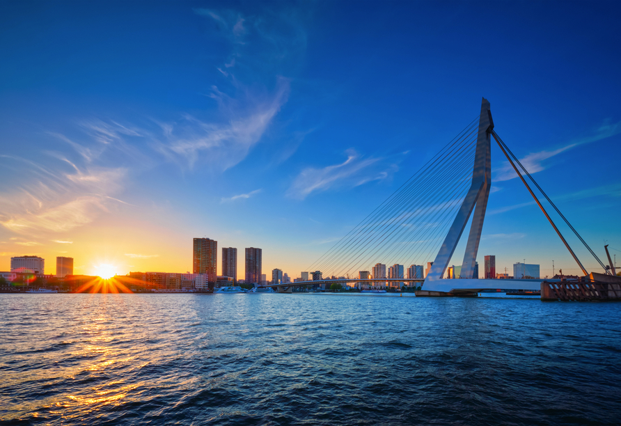 Das Wahrzeichen Rotterdams: die Erasmus Brücke