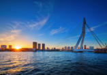 Das Wahrzeichen Rotterdams: die Erasmus Brücke