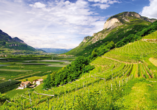 Auch im Weinanbau kann das Trentino mithalten.