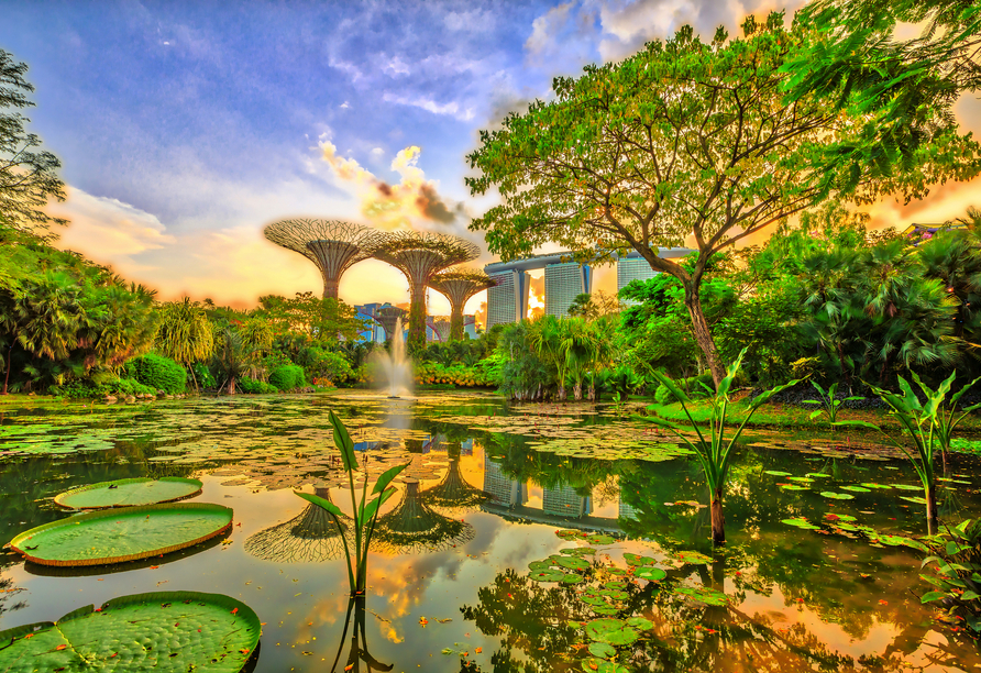 Die grüne Oase Gardens by the Bay in Singapur