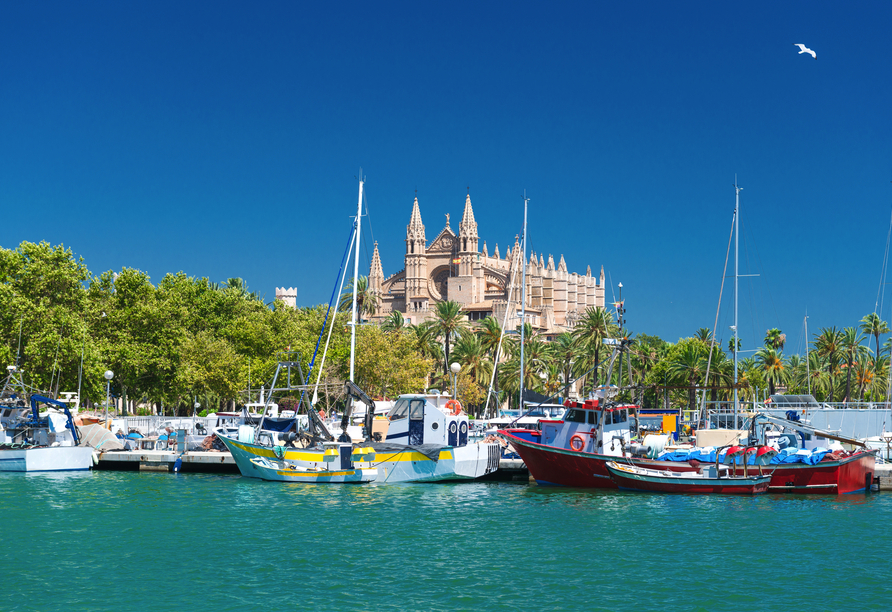 An Ihren freien Tagen können Sie beispielsweise durch Palma de Mallorca schlendern.