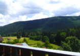 Von Ihrem Balkon aus haben Sie eine herrliche Aussicht auf die dichten Wälder des Schwarzwalds.