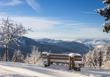 Freuen Sie sich auf winterliche Tage im Schwarzwald!