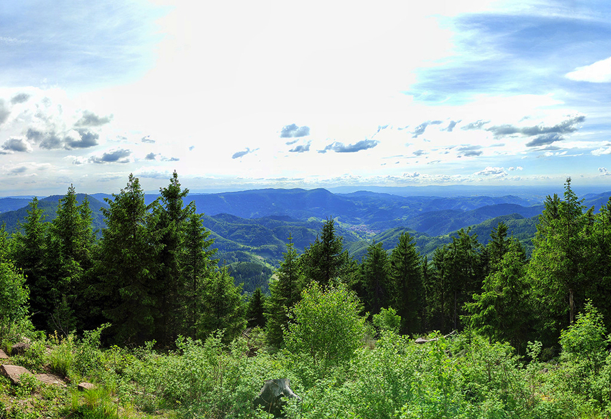 In der malerischen Natur des Schwarzwalds kommen Sie garantiert zur Ruhe.