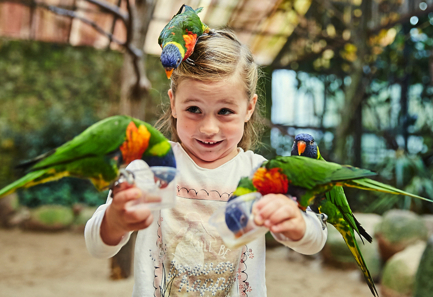 Der Weltvogelpark Walsrode begeistert mit seiner beeindruckenden Artenvielfalt.