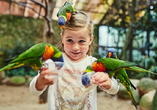 Der Weltvogelpark Walsrode begeistert mit seiner beeindruckenden Artenvielfalt.