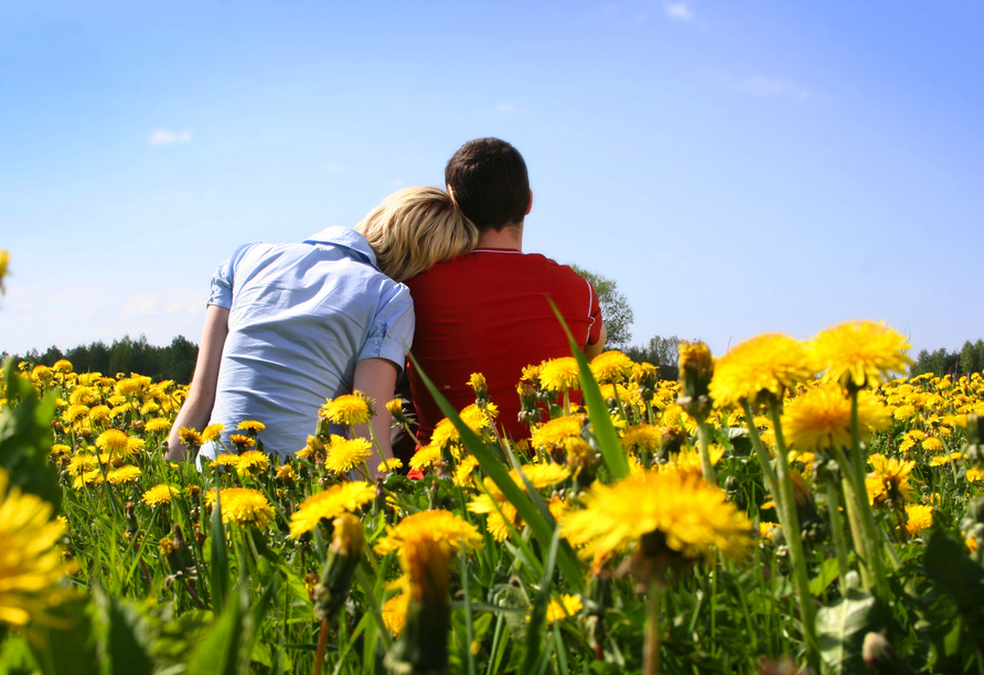 Verbringen Sie mit Ihren Liebsten ein paar erholsame Augenblicke in der Natur in und um Hannovers.