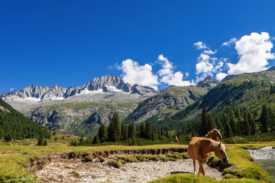 Entdecken Sie die traumhafte Region bei einer Wanderung.
