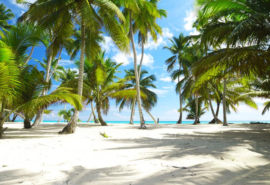 Die Dominikanische Republik ist bekannt für ihre weißen Sandstrände, die zum Träumen einladen.