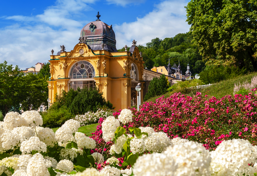 Erkunden Sie Ihren Urlaubsort Marienbad.