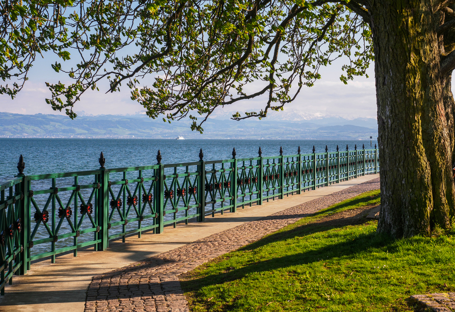 Das Ufer des Bodensees bei Friedrichshafen lädt zum Flanieren ein!