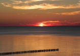 Genießen Sie atemberaubende Sonnenuntergänge an der Ostsee.