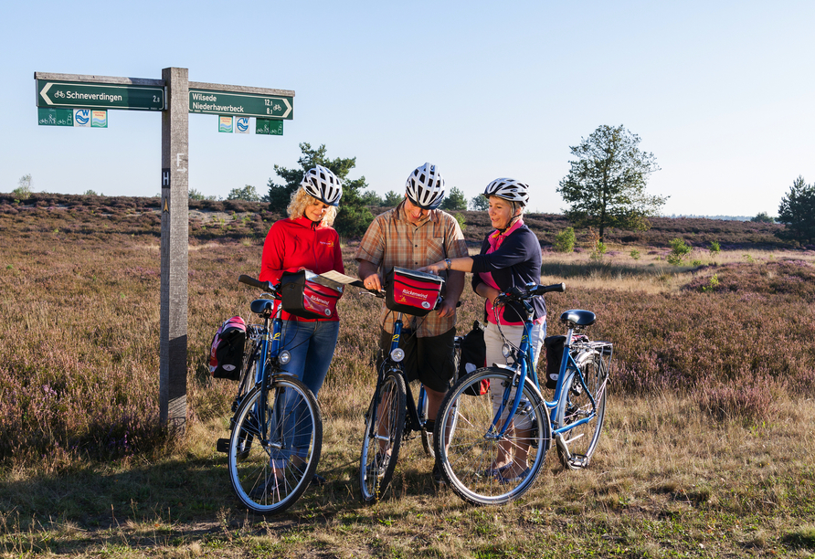 Radrundreise Die Lüneburger Heide Pur, Radfahrer