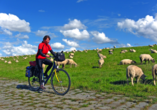 Auf zur Radrundreise 