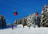 Der Harz ist auch ein Paradies für Wintersportler – bei Langlauf, Abfahrt, Rodeln oder Schneeschuhwanderungen kommt jeder auf seine Kosten.