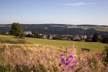 Im Frühling sieht die Umgebung rund ums Hotel bezaubernd aus.