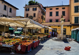Marktplatz von Pistoia