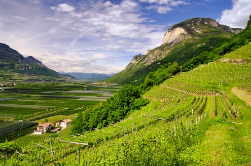 Dolomiti Chalet in Vason, Trentino-Südtirol 