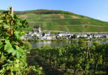 Umgeben von sattgrünen Weinreben begrüßt Sie die Stadt Zell. 