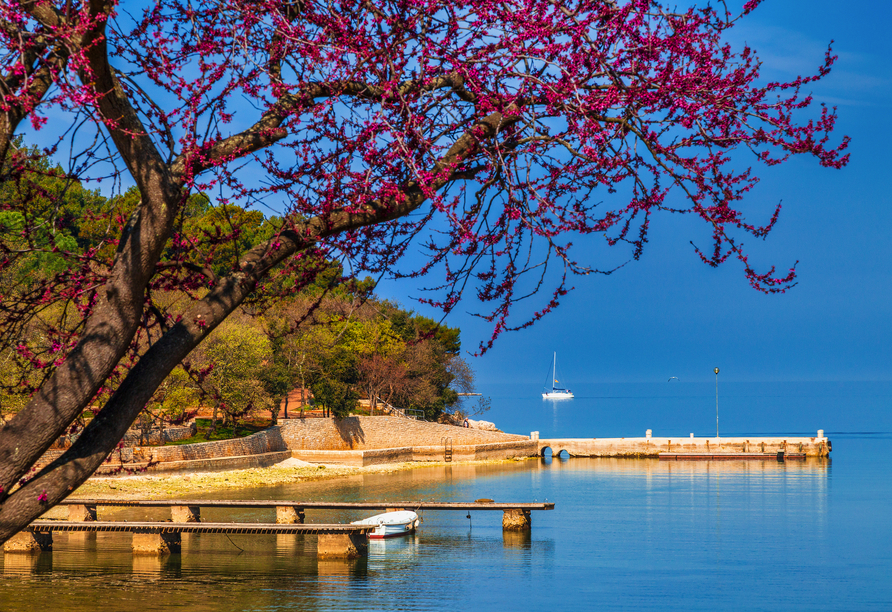 Grüne Lagune in Poreč