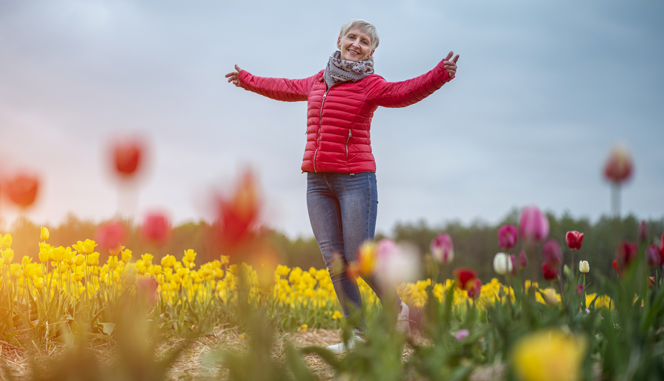 Freuen Sie sich auf die bunte und vielfältige Tulpenblüte in den Niederlanden.