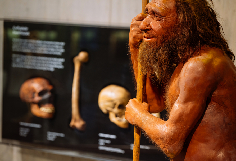 Besuchen Sie auch das nahegelegene Neandertal und erhalten Sie spannende Einblicke in die Geschichte unserer Vorfahren.