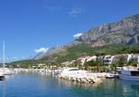 Blick auf Ihren Urlaubsort und den Hafen von Tučepi.