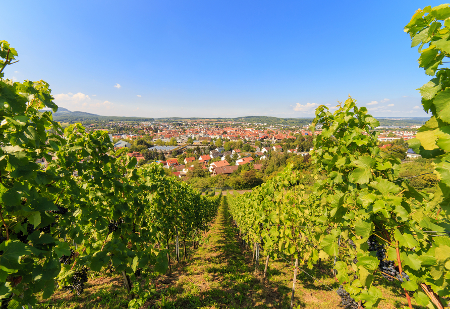 Besuchen Sie Metzingen für eine Wanderung über den Weinerlebnisweg oder für Ihr Shoppingvergnügen in der größten Outletcity Europas.