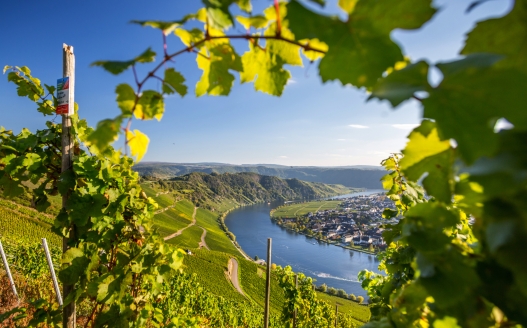 Willkommen in einer der schönsten Flusslandschaften Deutschlands!