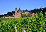 Besichtigen Sie das Benediktinerinnenkloster St. Hildegard bei Rüdesheim.