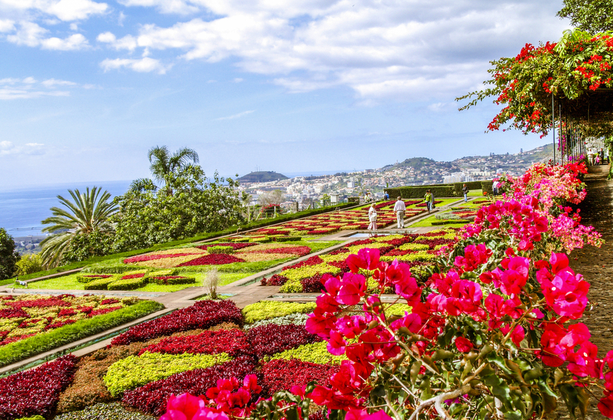 Besichtigen Sie unbedingt den Botanischen Garten in Funchal, dieser erstrahlt in all seiner Blütenpracht.
