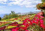 Besichtigen Sie unbedingt den Botanischen Garten in Funchal, dieser erstrahlt in all seiner Blütenpracht.