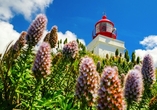 Erlebnisreise Madeira & Porto Santo, Leuchtturm, Ponto do Pargo