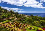 An Ihren freien Tage können Sie die Insel-Haupstadt Funchal mit dem Botanischen Garten besuchen.